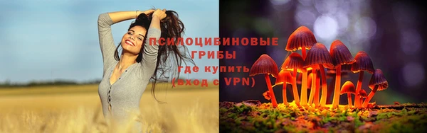 марки lsd Алзамай