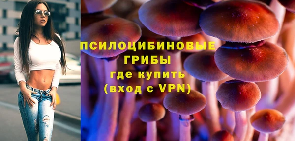 ECSTASY Алексин
