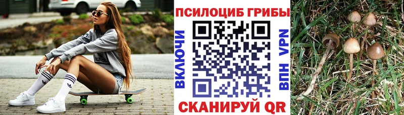Псилоцибиновые грибы Psilocybe  Опочка 